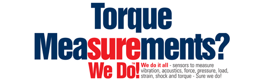 Torque Measurements? Sure We Do!