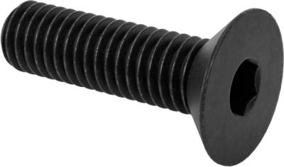 mounting screw